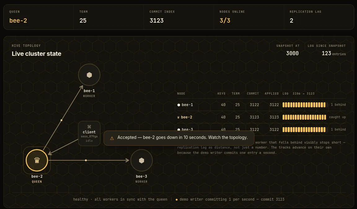 Demo, kill announced: a notice says bee-2 goes down in 10 seconds.